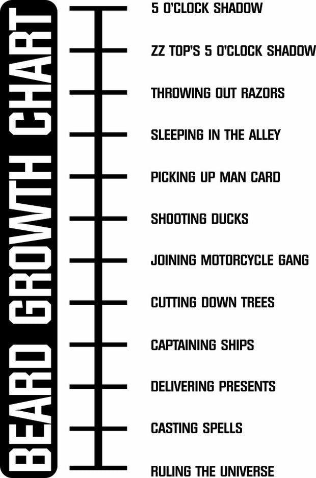 Beard Growth Chart Funny Adult-Tshirt