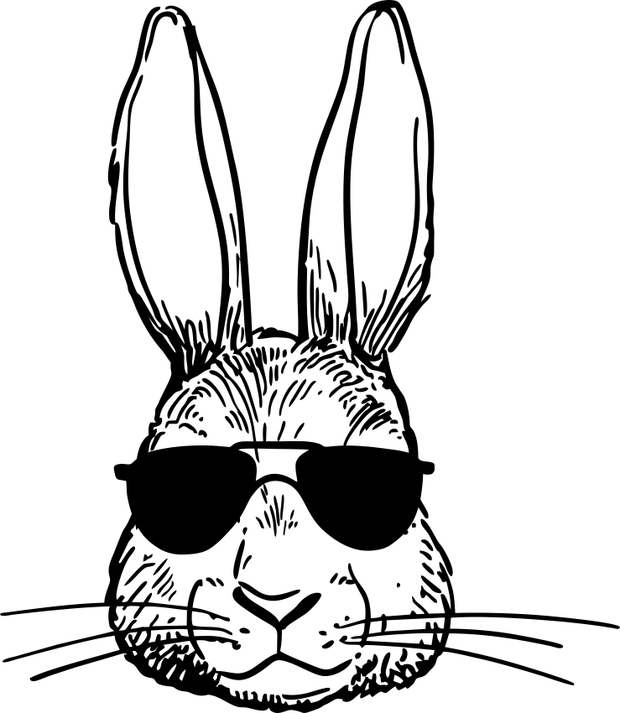 Bunny Face With Sunglasses Adult-Tshirt