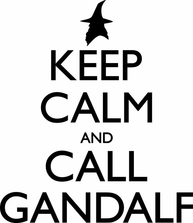 Keep Calm And Call Gandalf Adult-Tshirt