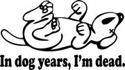 In Dog Years I'm Dead Funny Birthday Over The Hill Adult-Tshirt