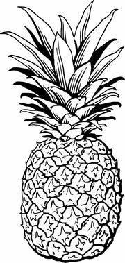 Giant Pineapple Adult-Tshirt