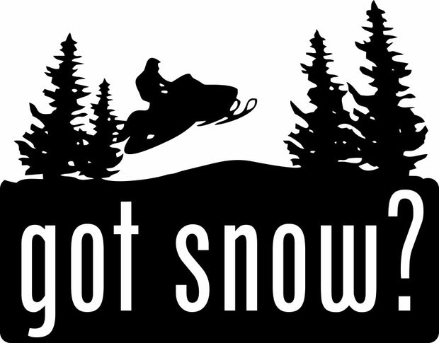 Got Snow Funny Snowmobile Lover Adult-Tshirt