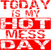 Today Is My Hot Mess Day Funny Adult-Tshirt