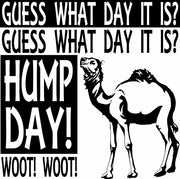 Hump Day Camel Commercial Adult-Tshirt