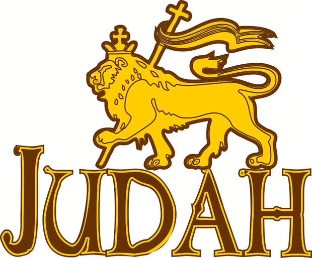 Tribe Of Judah Lion Hebrew Israelites Adult-Tshirt