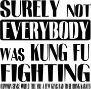 Surely Not Everybody Was Kung Fu Fighting Adult-Tshirt