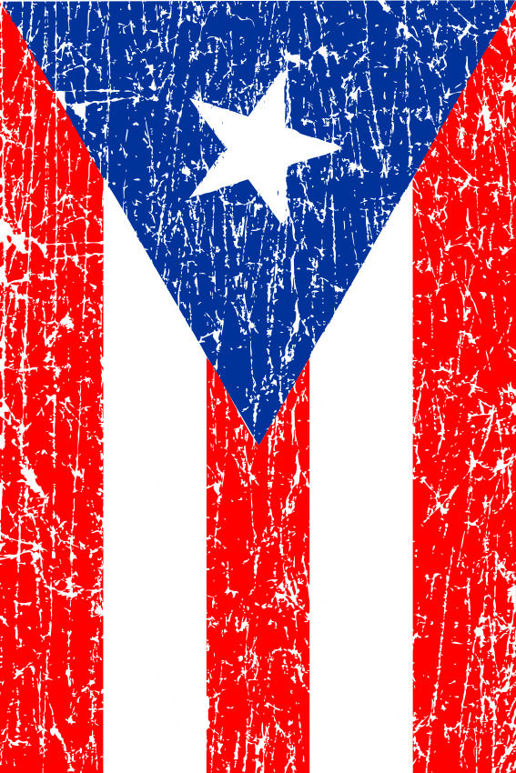 Puerto Rico Boricua Flag Distressed Adult-Tshirt