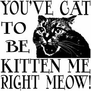 You've Cat To Be Kitten Me Right Meow! Funny Cat Adult-Tshirt