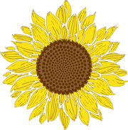 Sunflower Fashion Adult-Tshirt