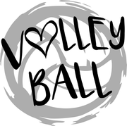 Volleyball Distressed Ball Adult-Tshirt