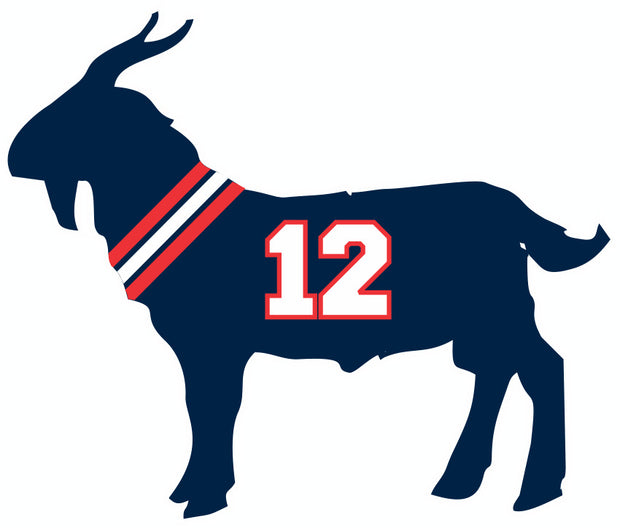 Brady GOAT Adult-Tshirt